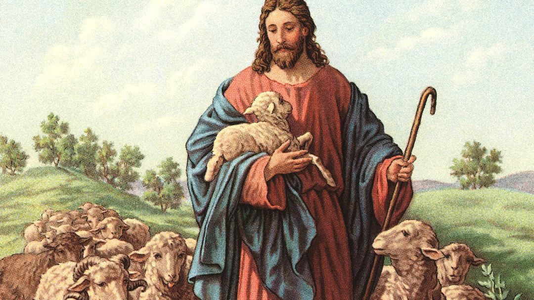 Act of Contrition